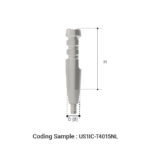 Multi Straight Abutment